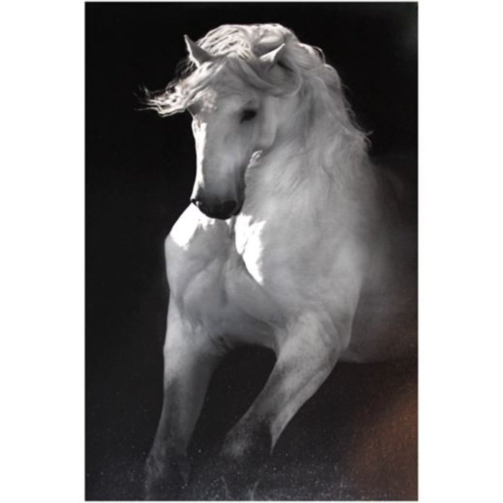 Into the Light Giclée by Robert Dawson, 24x16 in.
